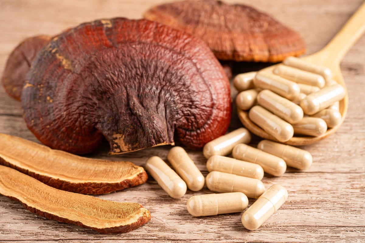 Lingzhi or Reishi mushroom with capsules, organic natural healthy food.